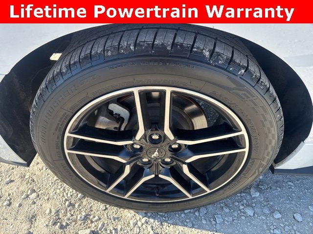 2021 Ford Mustang EcoBoost